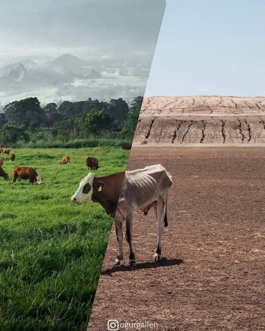 사진2장을 합친 터키의 작가_14.webp