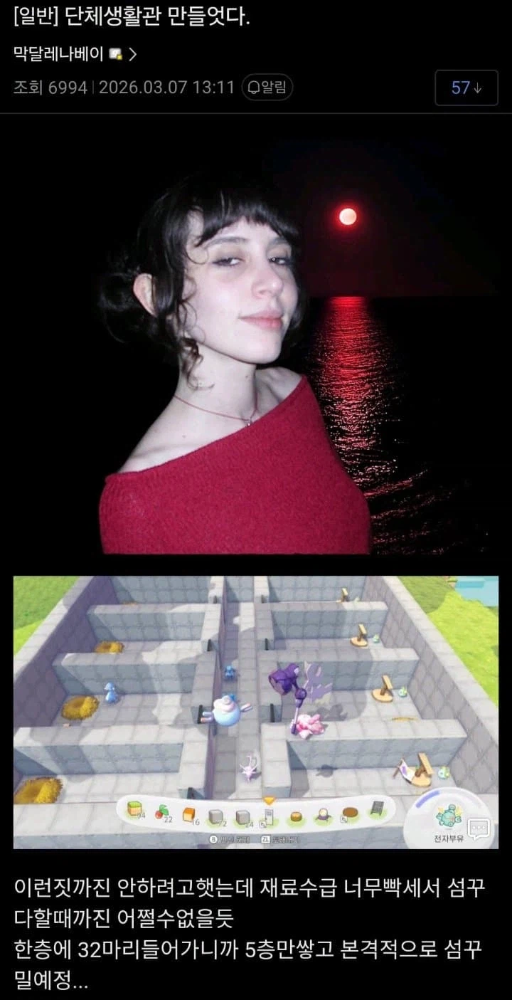 포코피아에 동물의 숲이 들어간게 맞는 이유.jpg_1.webp