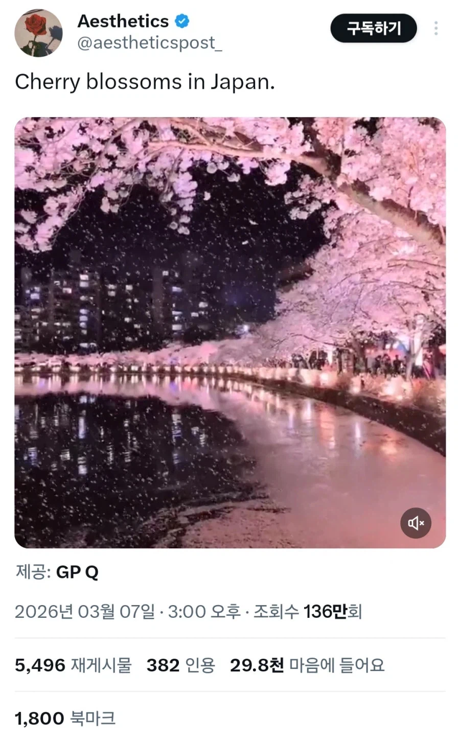 조회수 100만 넘은 일본 벚꽃풍경_1.webp