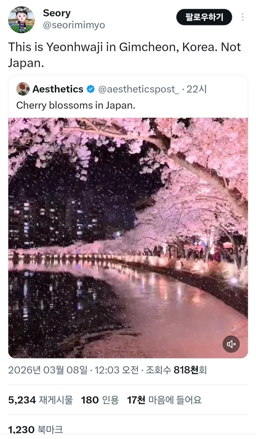 조회수 100만 넘은 일본 벚꽃풍경_2.webp