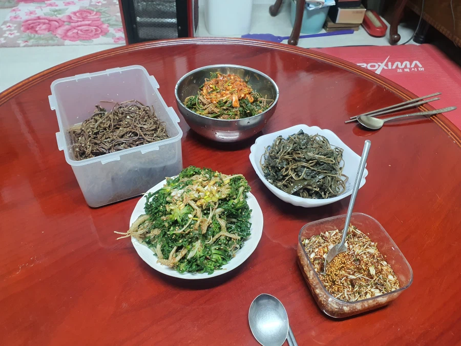 봄동이 왜 유행하는지 모르겠음_1.webp