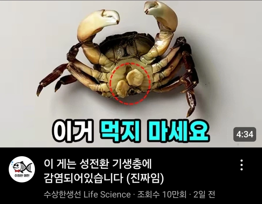 TS 암컷타락 게 이동 영상_1.webp