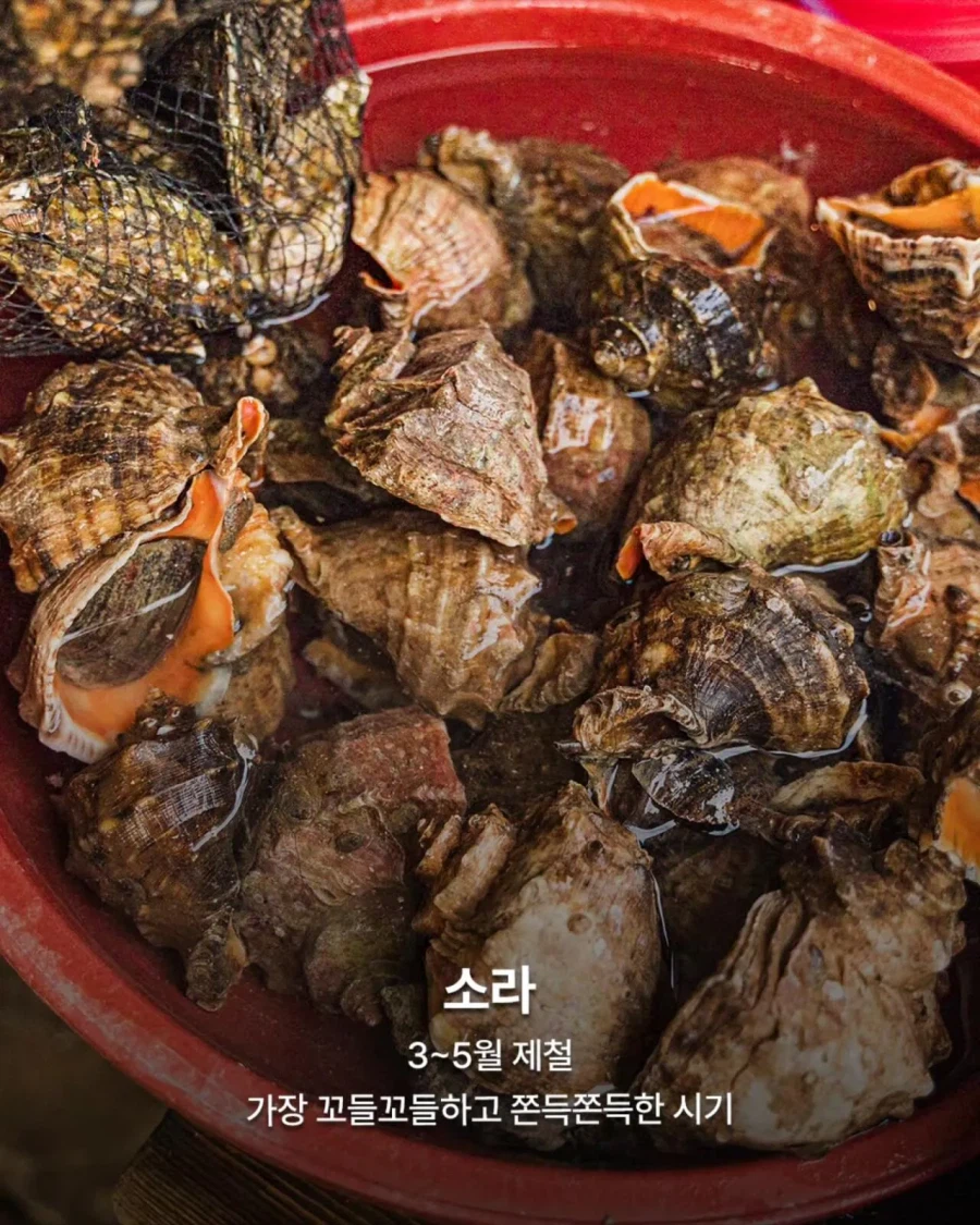 3월 제철 음식들_2.webp