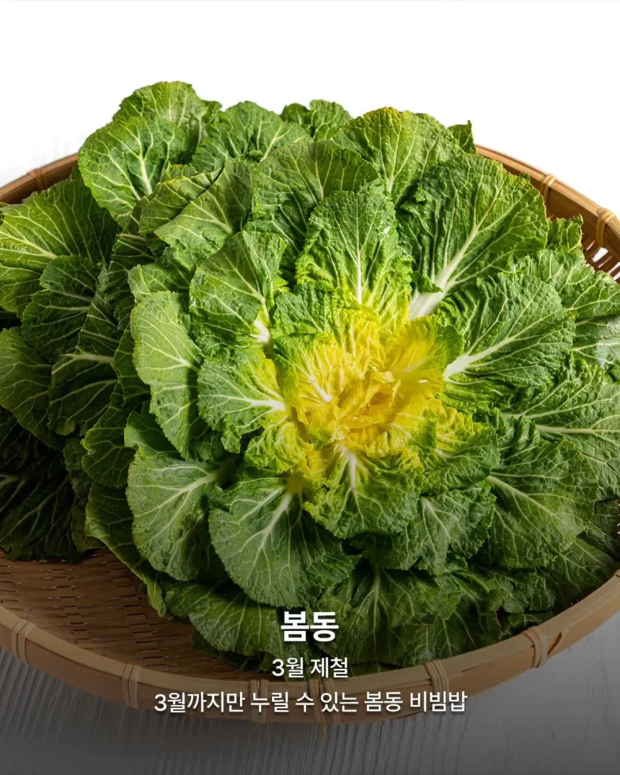 3월 제철 음식들_3.webp