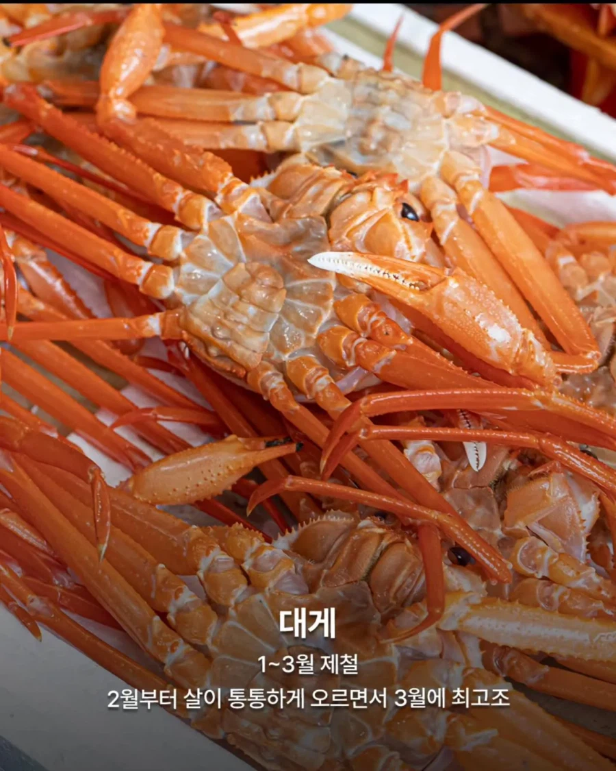 3월 제철 음식들_6.webp