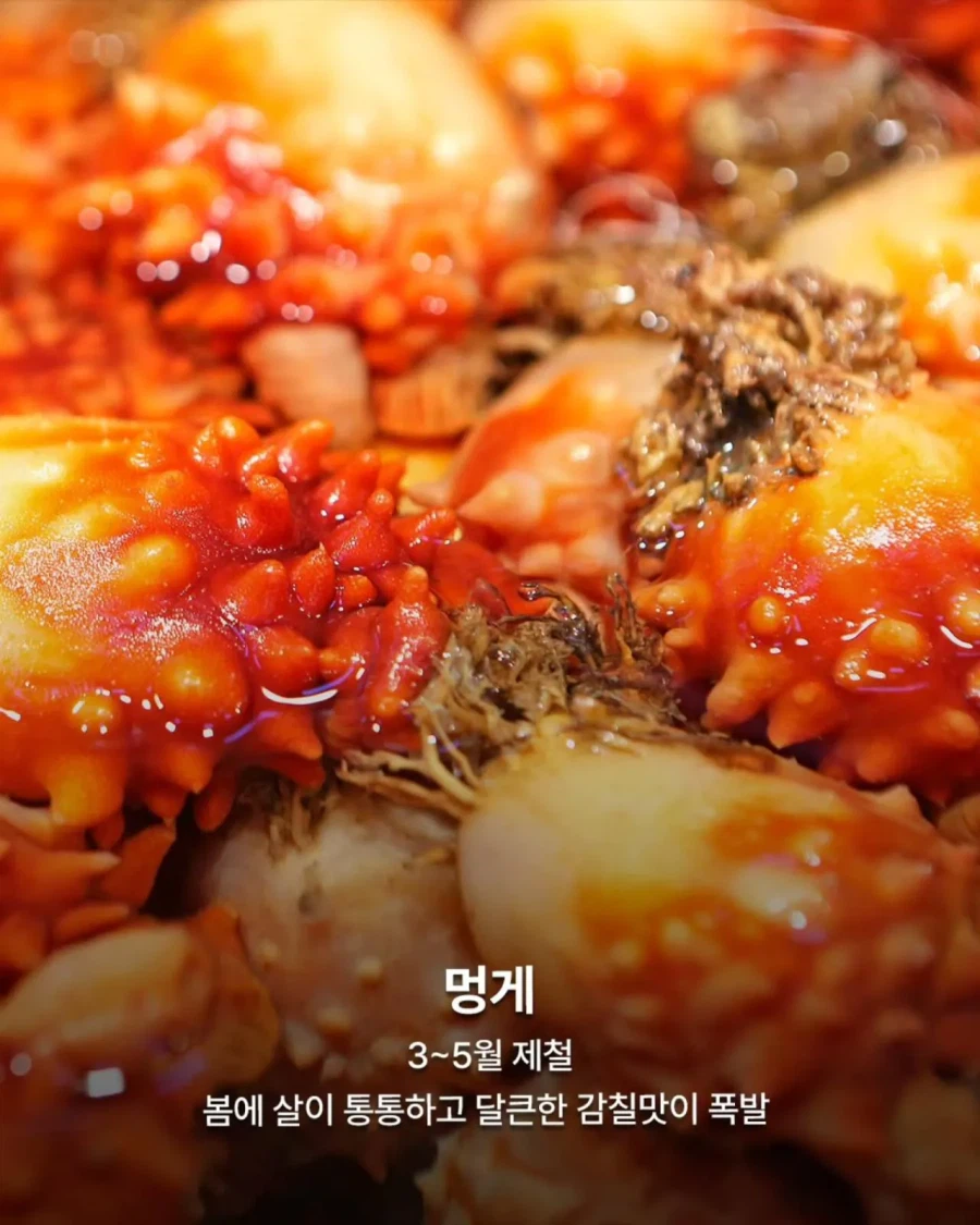 3월 제철 음식들_8.webp