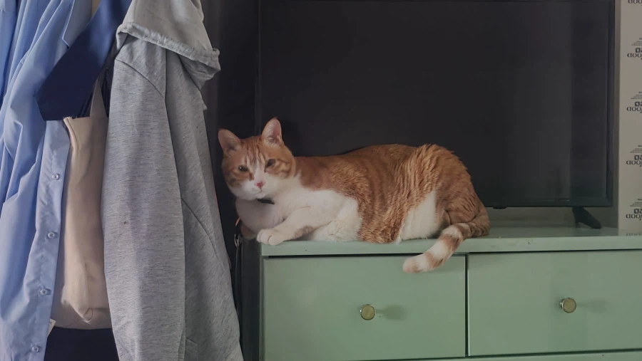 잘자고 있었는데 날 깨우다니..._1.webp