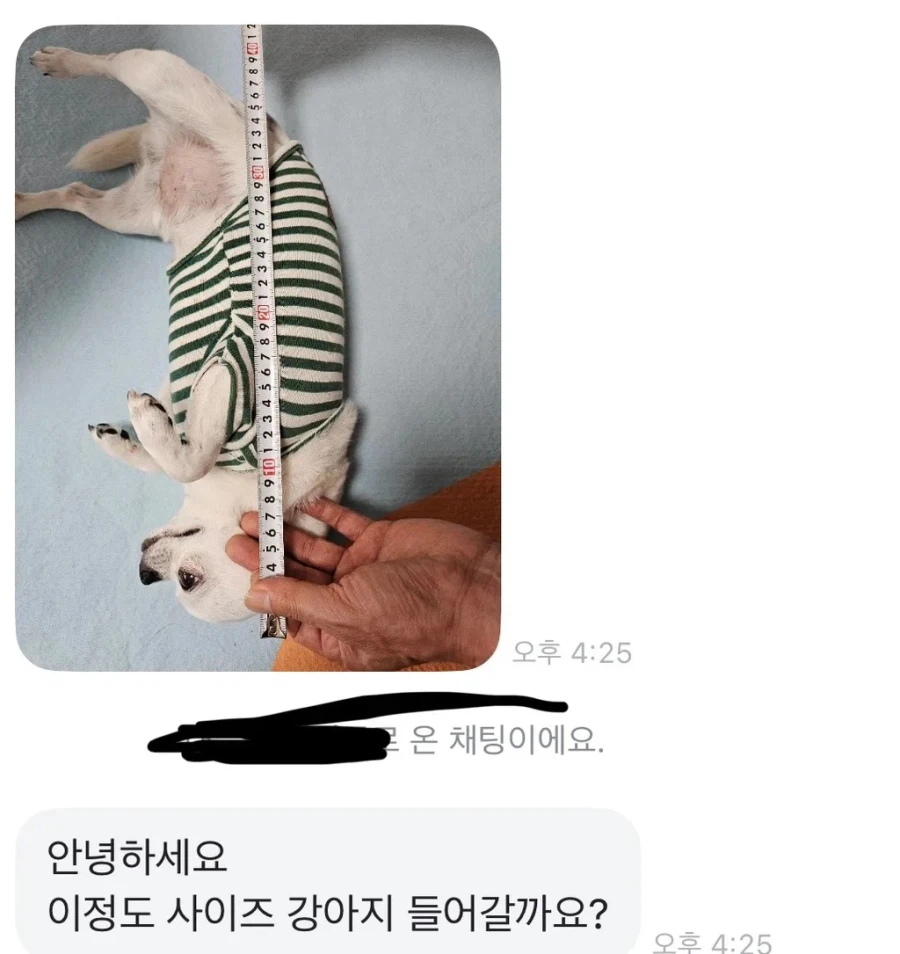 당근의 강아지집 사이즈 문의.jpg_1.webp