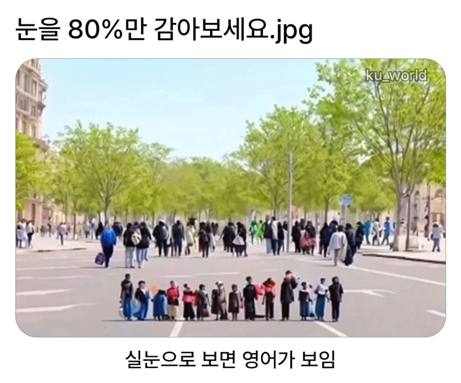 안경쨉이만 볼 수 있는 사진_1.webp