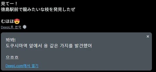 길에서 본 나뭇가지를 들고 온 이유_1.webp