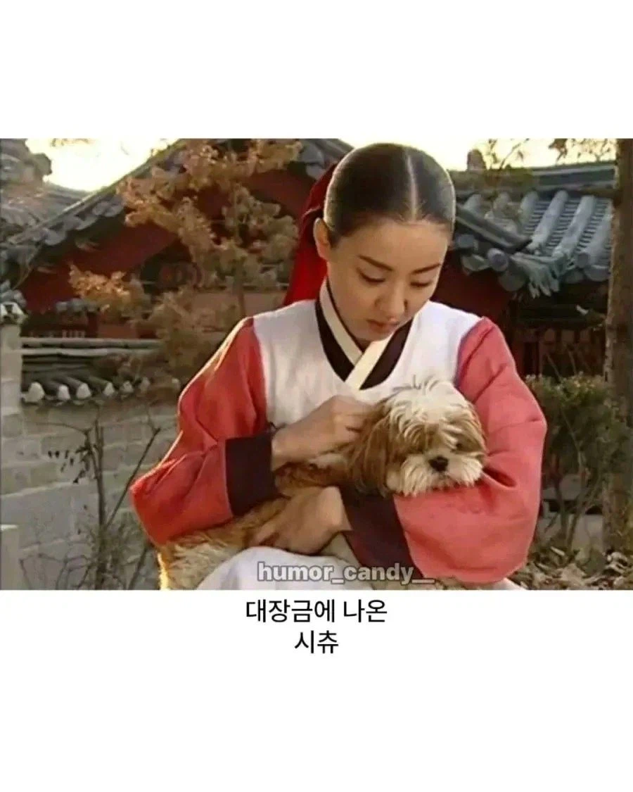 조선시대에도 있던 의외의 견종_1.webp