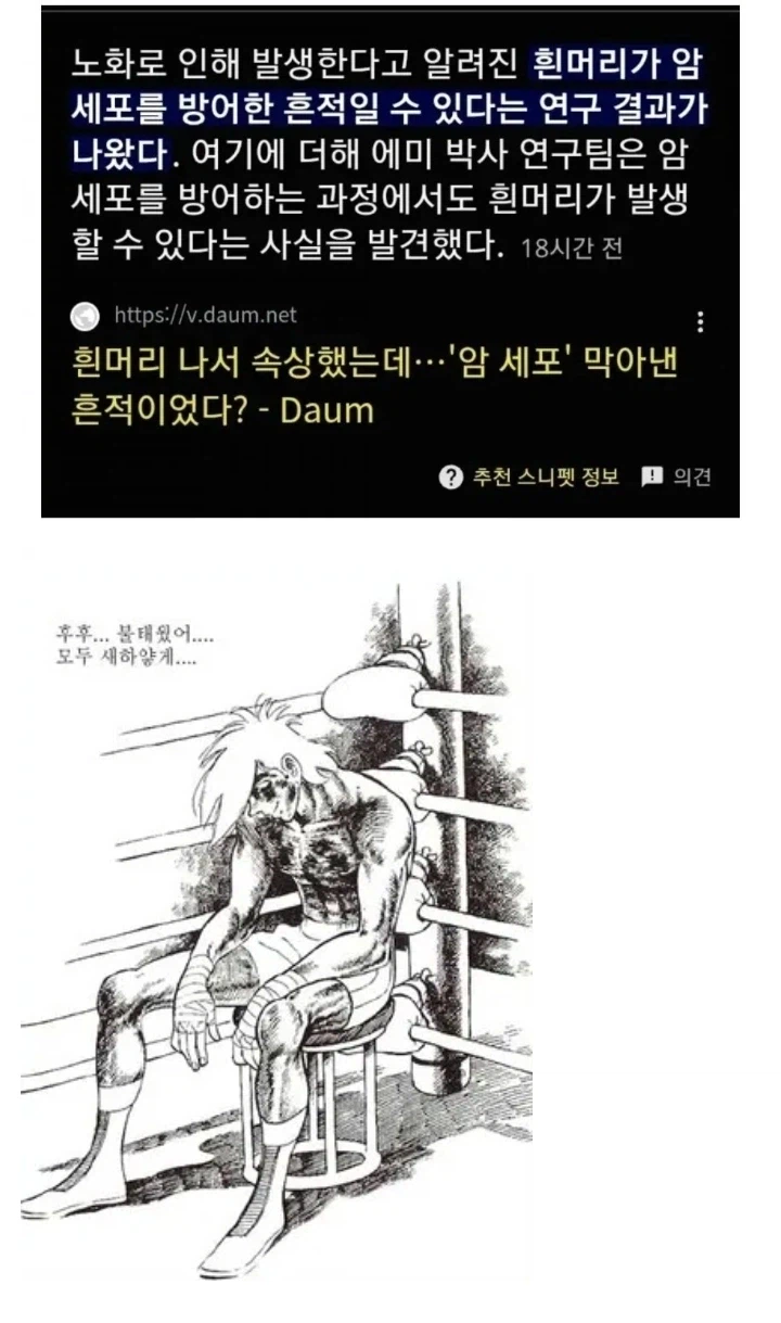 의외로 노화의 증거가 아닐수도 있는것_1.webp