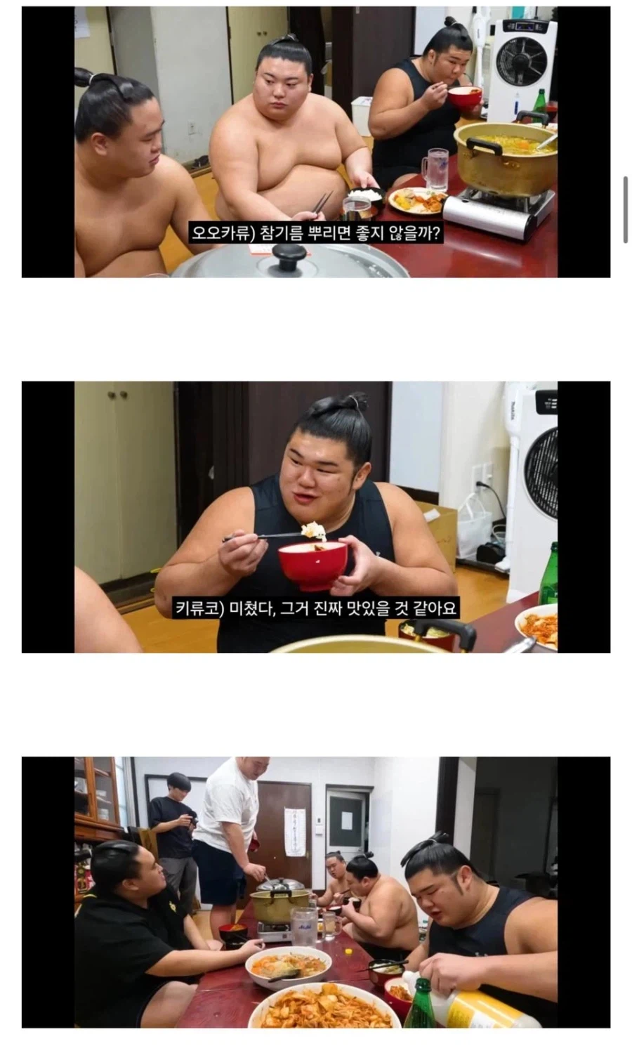 삼겹살 김치볶음 해먹는 스모선수들_3.webp