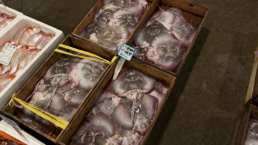 홍어가 철이군.jpg_2.webp