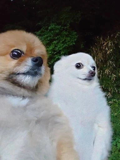 블리치 입문한 뉴비들_1.webp