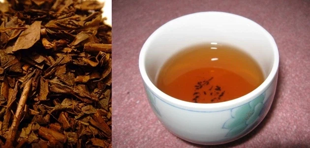 의외로 역사가 짧은 호지차.jpg_1.webp