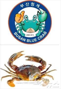 한국에서는 대우가 다른 생물.jpg_3.webp