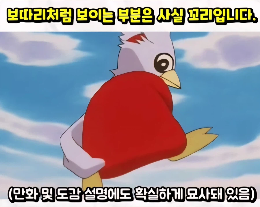 포켓몬 딜리버드 보자기의 비밀_3.webp