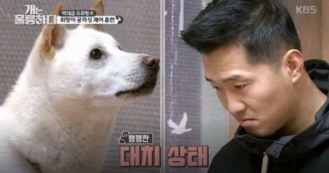 대한민국 3대 솔루션 예능.jpg_2.webp