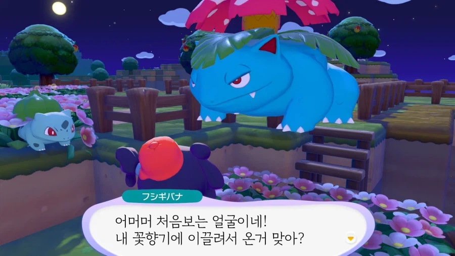 점점 미쳐가는 이상해씨 갸루 메타_2.webp