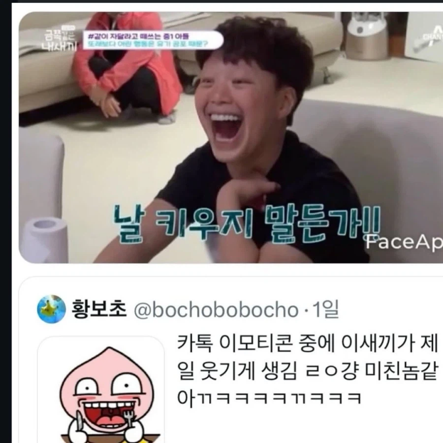 카톡 찢고 나온 이모티콘.jpg_1.webp