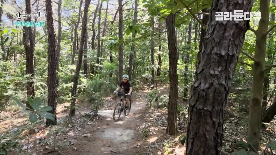 산악 바이크를 즐기는 70대 부부_4.webp