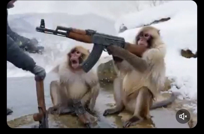 머스크, 사람들에게 에이전트 AI를 푸는 것은_2.webp