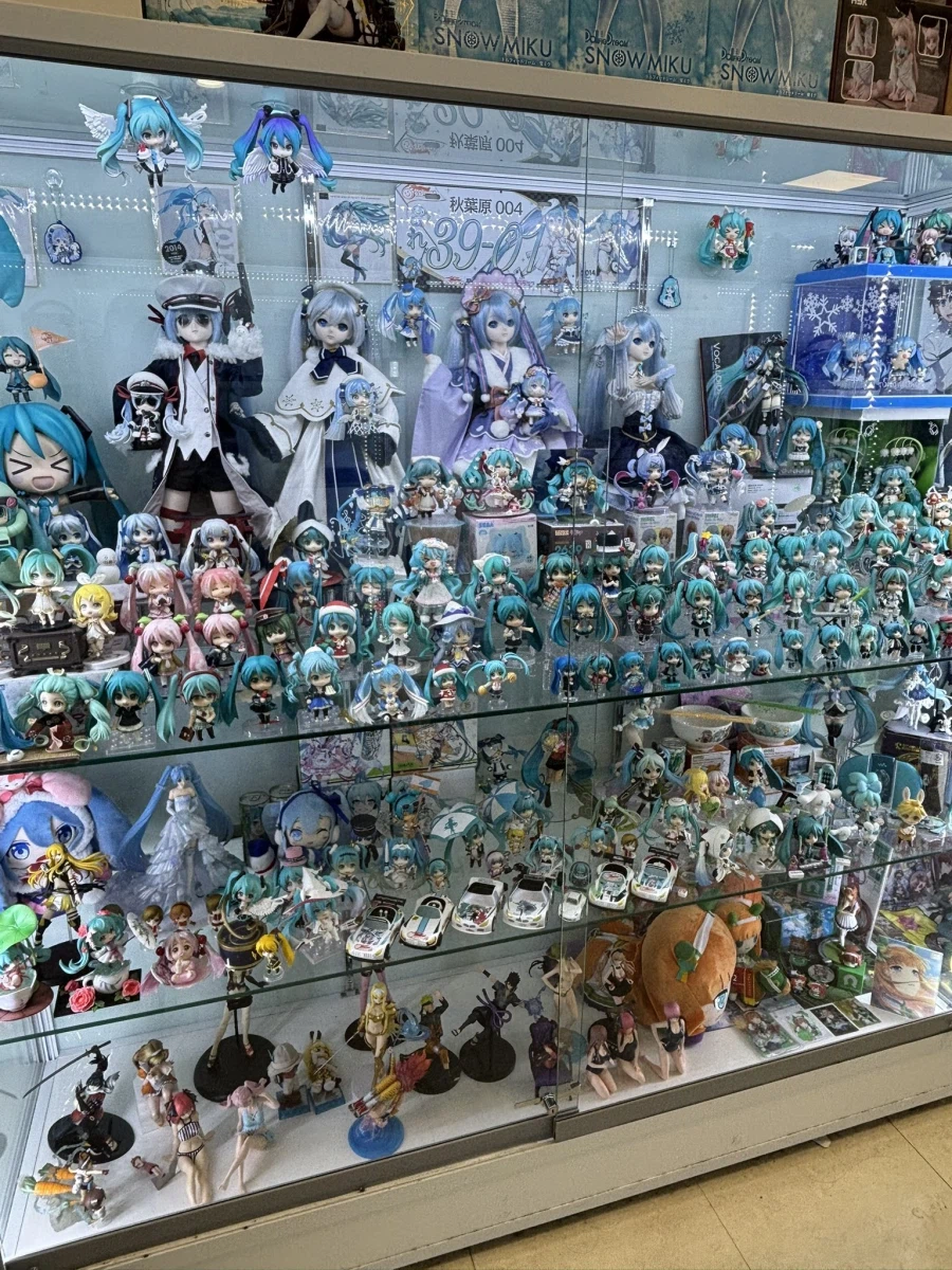 미쿠존에 끼어있는 스파이_1.webp