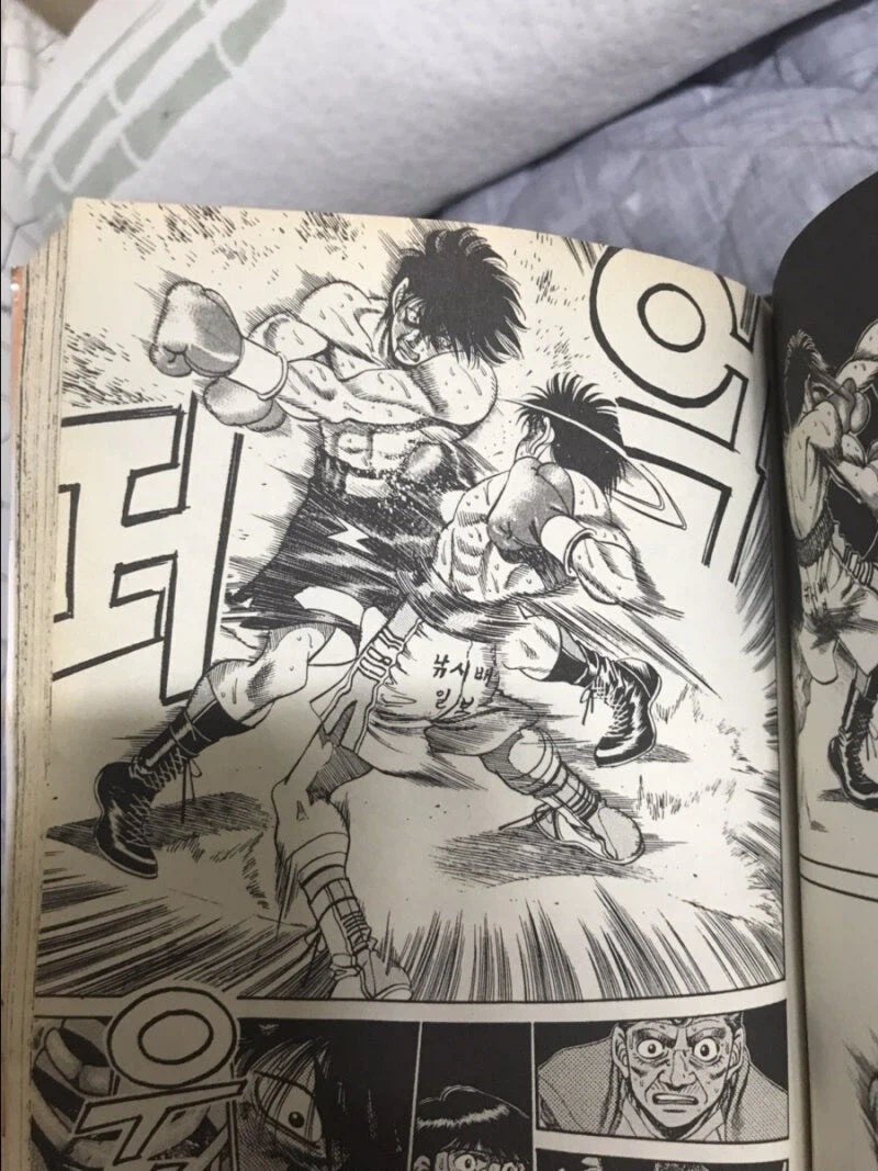 암만봐도 이상한 더파이팅 일보의 체급과 감량.jpg_1.webp