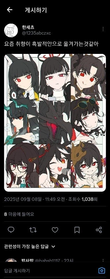 씹덕계 전통의 미인상, 흑발적안_1.webp