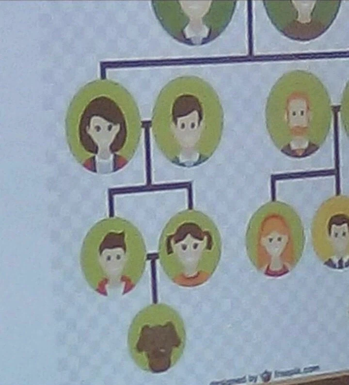 뭔가 이상한 서양의 교과서_1.webp