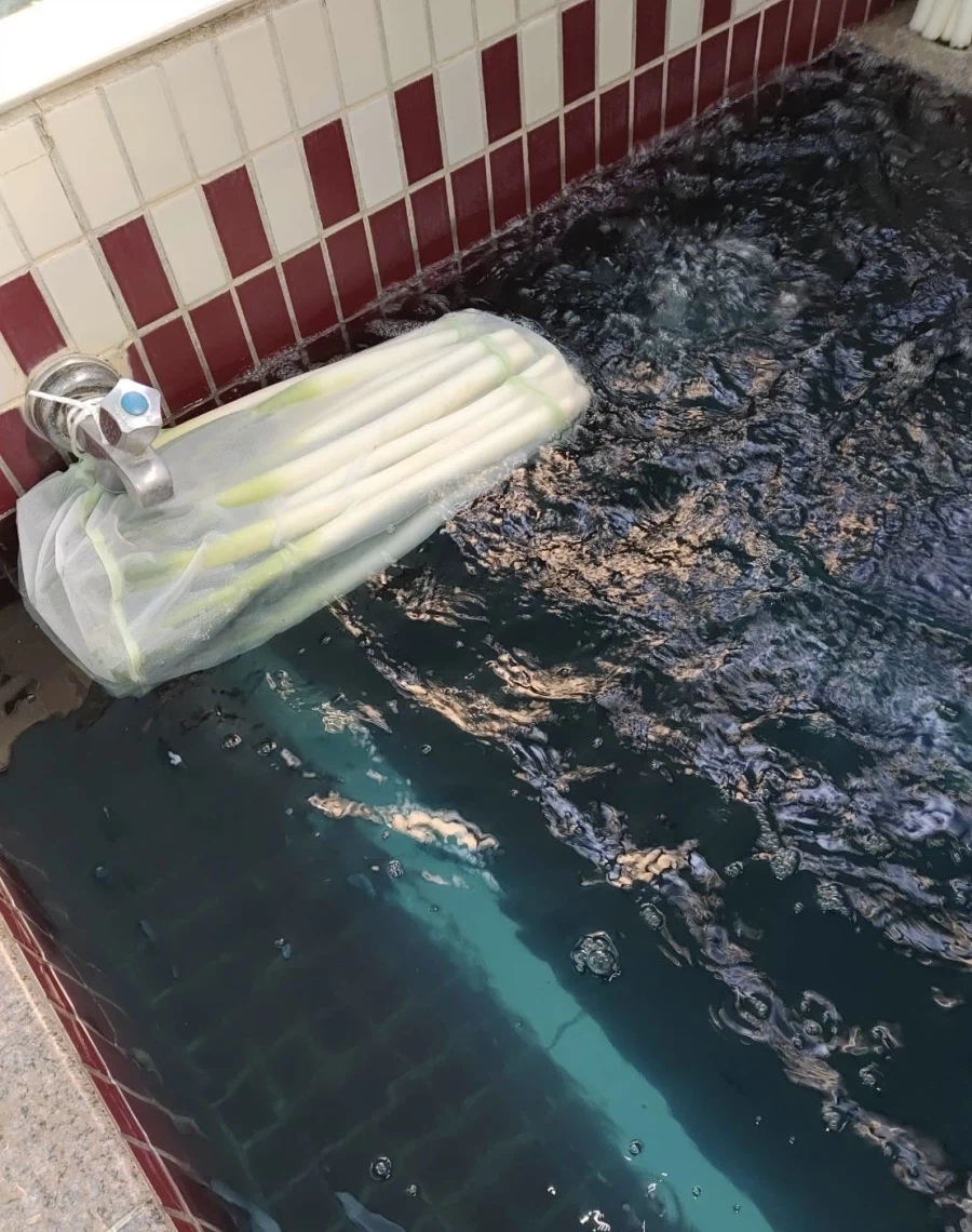 3월 9일 미쿠의 날을 맞은 일본 목욕탕._3.webp