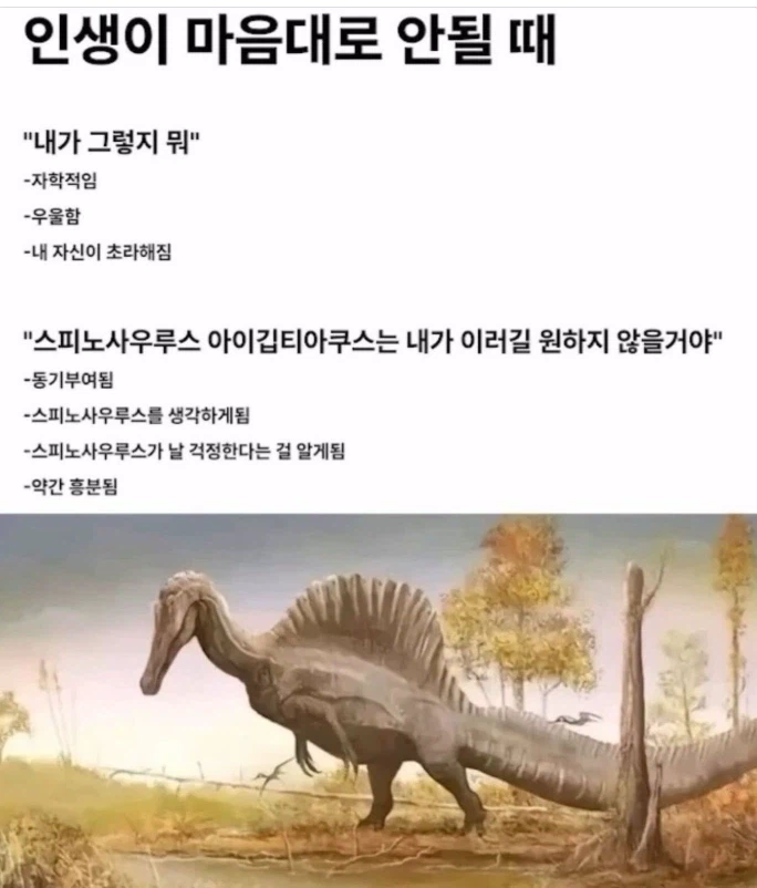 인생이 마음대로 안될때 극복하는 사고방식.jpg_1.webp