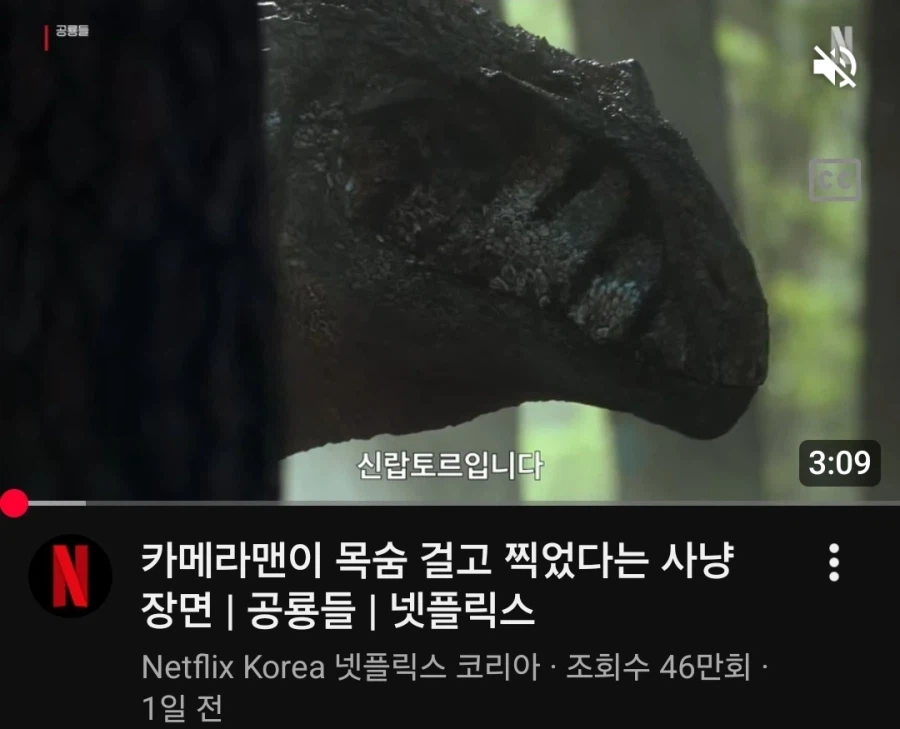 카메라맨이 진짜 목숨걸고 찍은 영상_1.webp