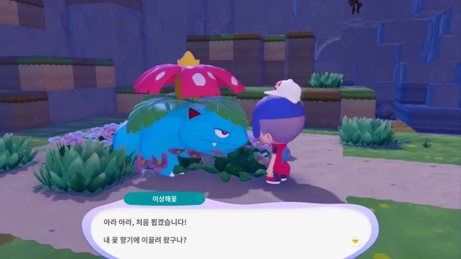 포코피아 이상해줌마_1.webp