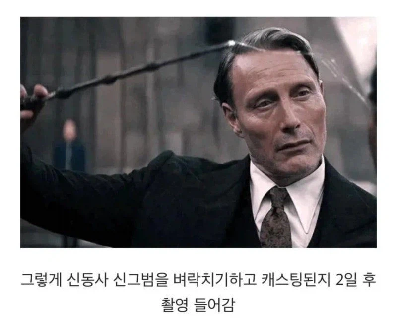 해리포터 성인역 배우들 대부분이 강요받음_17.webp