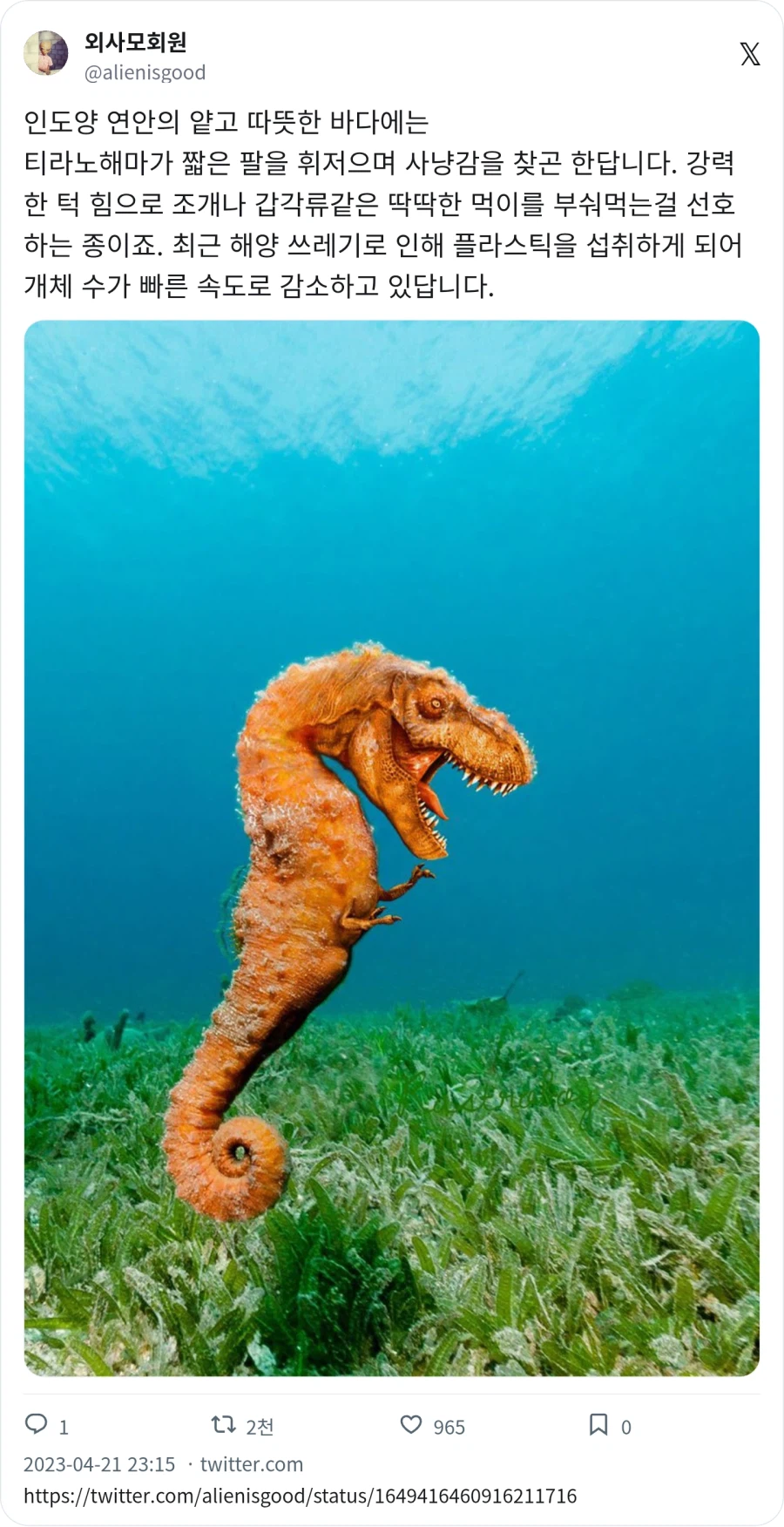 멸종위기라는 티라노해마_1.webp