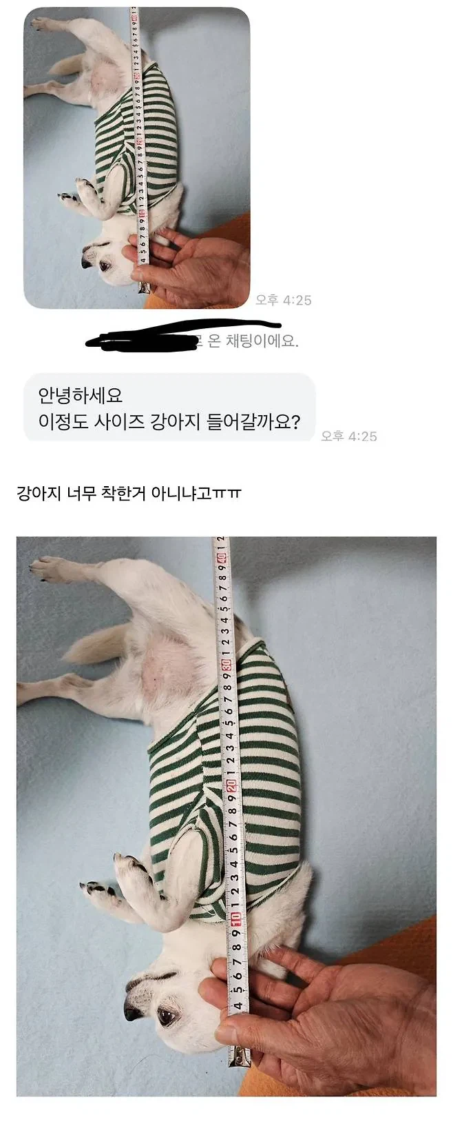 당근에 강아지 집 올려놨는데 문의가 너무 귀엽지않아?_1.webp