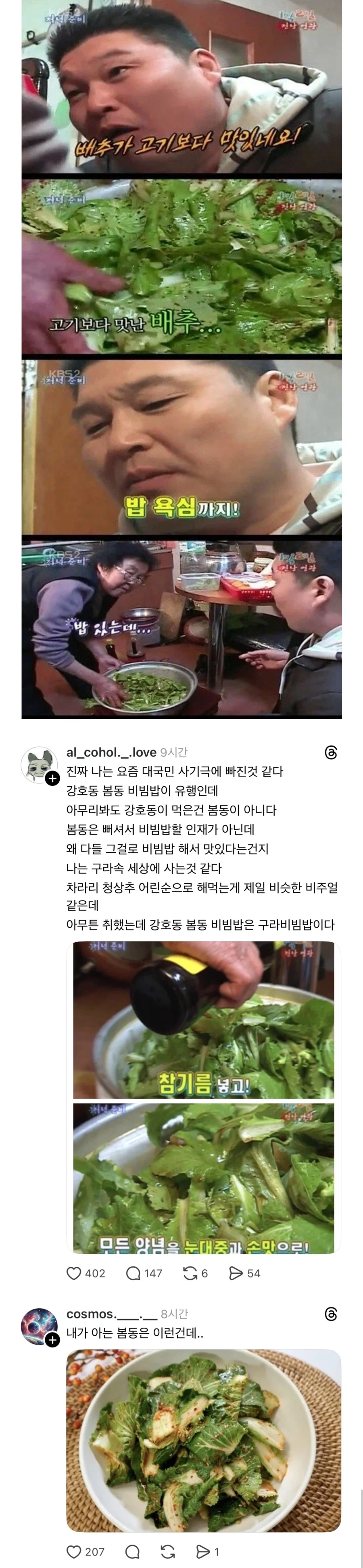 강호동이 먹었던건 봄동이 아니라는 글에 달린 댓글_1.webp
