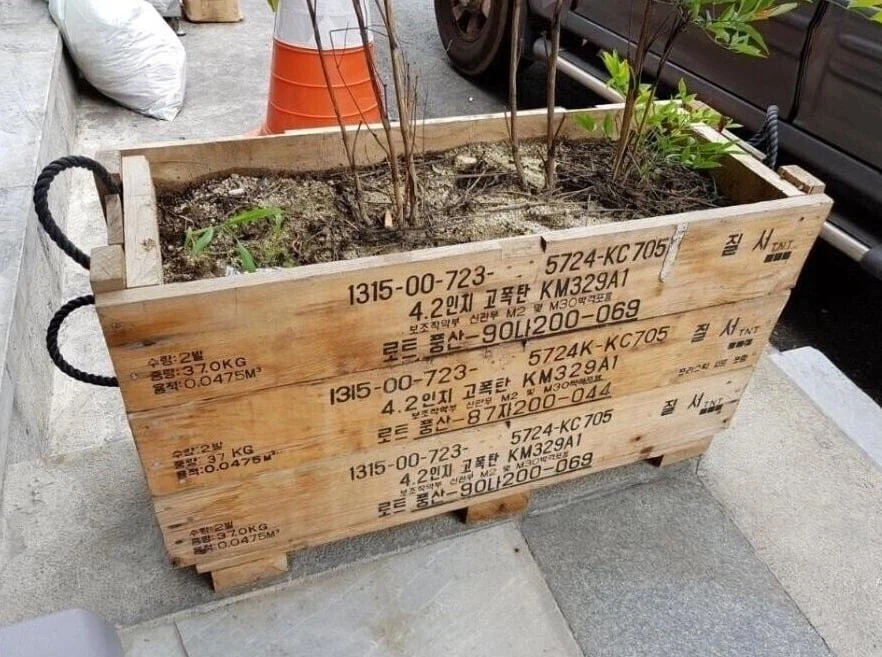 터질것만 같이 아름다운 화분_1.webp