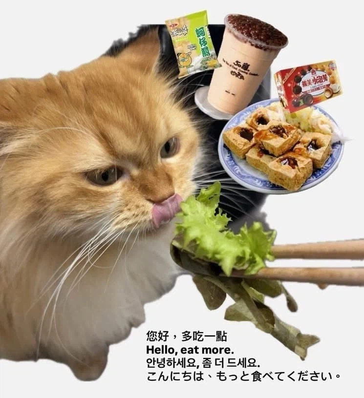 대만 여행 한다고 하면 댓글 달아주는 대만 사람들_3.webp