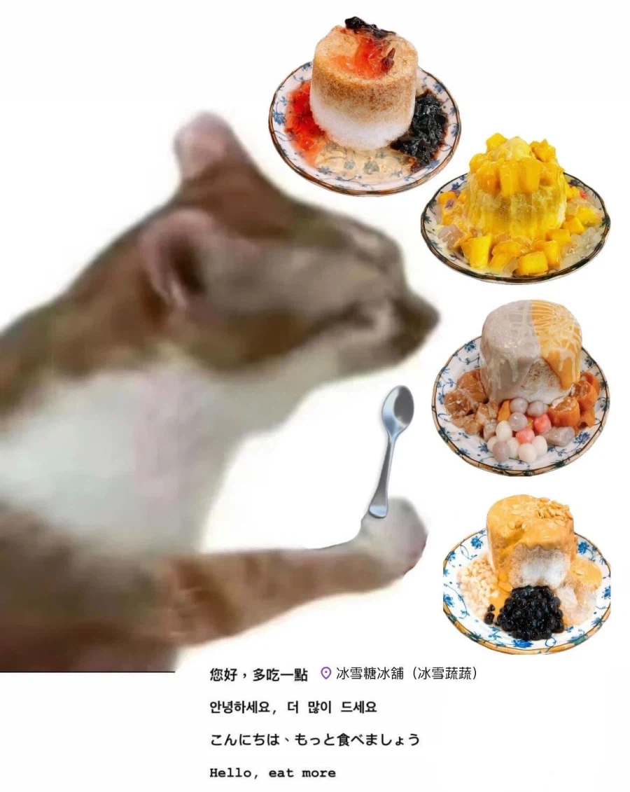 대만 여행 한다고 하면 댓글 달아주는 대만 사람들_5.webp