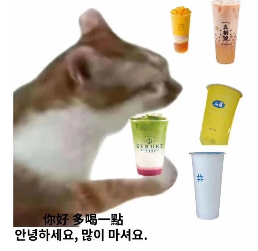 대만 여행 한다고 하면 댓글 달아주는 대만 사람들_6.webp