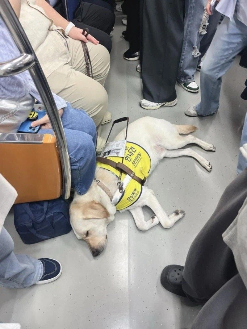 출근길 만원 지하철에서 느꼈던 따스함 jpg._1.webp