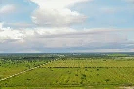 미국에서 가장 평평한 주_13.webp