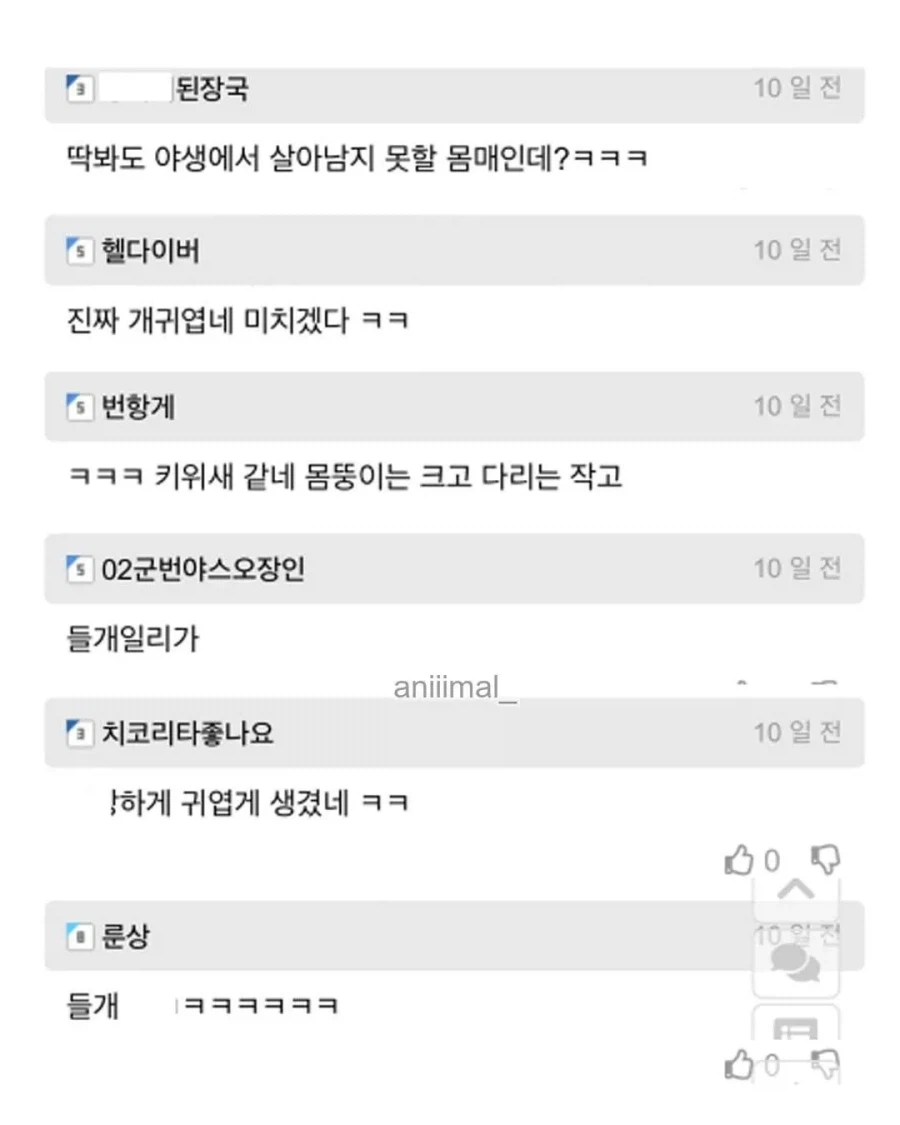 아파트에서 들개(?) 줍줍한 사람.jpg_4.webp