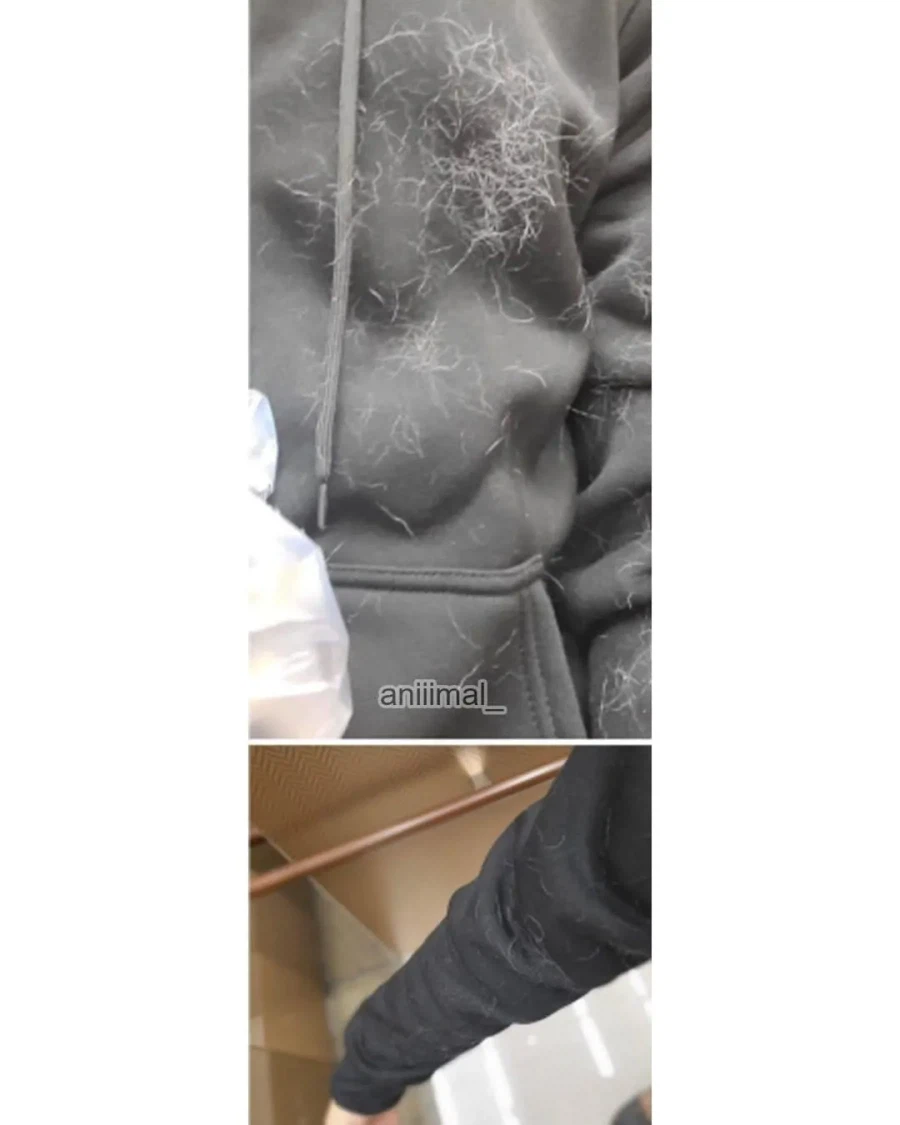 아파트에서 들개(?) 줍줍한 사람.jpg_11.webp