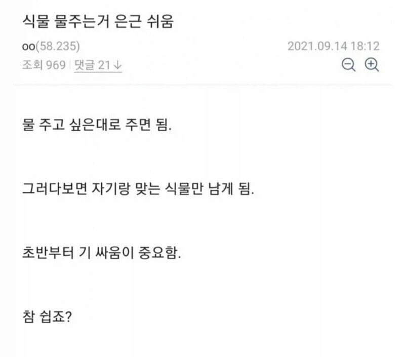 식물 물주는거 팁_1.webp