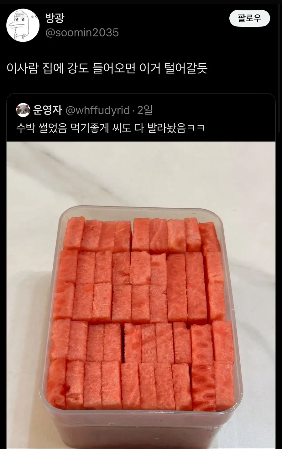 도둑놈도 털어가고 싶어할 만큼 예쁘게 썬 수박.jpg_1.webp