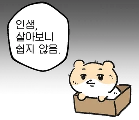 남자답고 자신감 있는 사람의 특징_2.webp